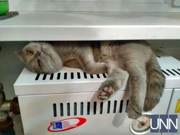 Провал опалювального сезону: у ГПУ направлять звернення щодо низки посадовців