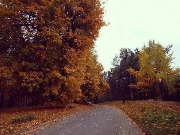 У київському ботсаду знайшли снаряд часів війни