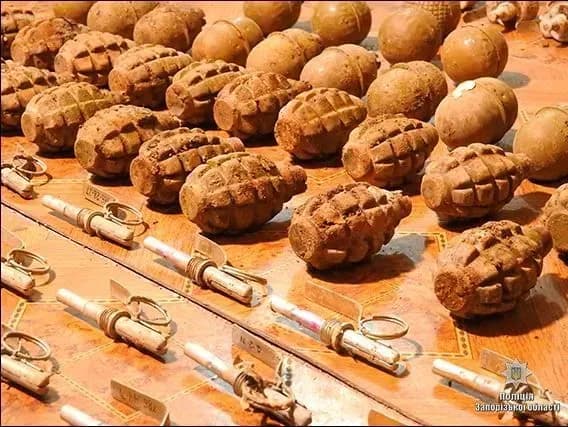 На Запоріжжі в лісосмугі виявили схрон боєприпасів