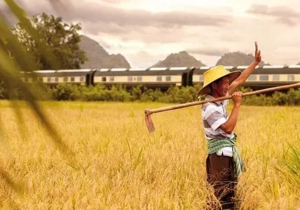 Україна постачатиме м’ясо та молочку до Малайзії