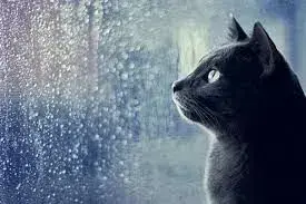 Сьогодні в Києві дощитиме