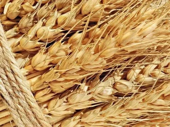 Підприємства ДПЗКУ можуть стати жертвами "прихованої приватизації" - Мосійчук