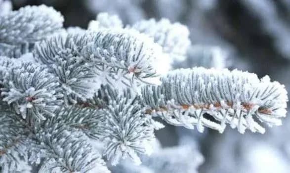 Наступного тижня в Україні почнеться похолодання