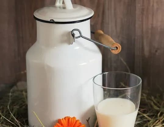 Гройсман виступив проти заборони закупівлі молока у населення