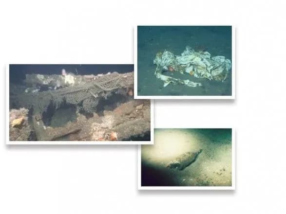 Ученые выяснили, что пластиковый мусор присутствует и в Марианской впадине