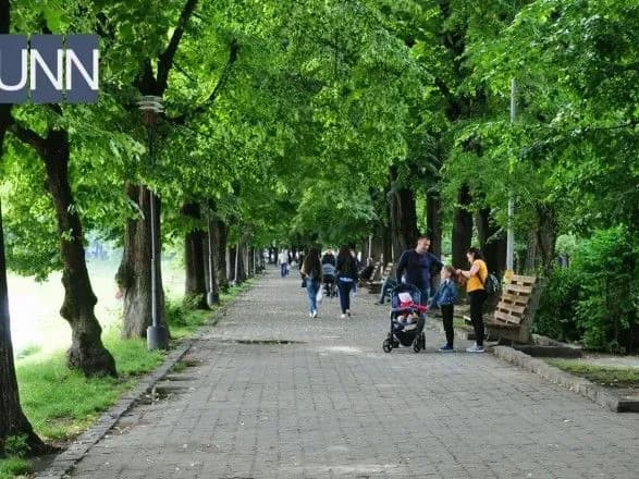 Самая длинная липовая аллея Европы расцвела в Ужгороде, не дождавшись июля
