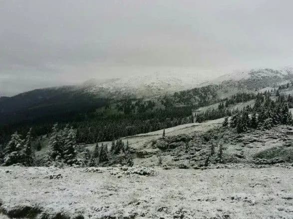 На Закарпатье лагерь засыпало снегом: спасатели рассказали о состоянии детей