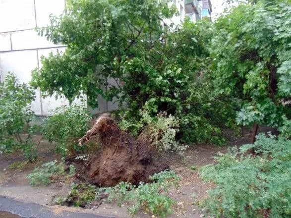 Негода на Луганщині: без світла залишилися майже 5 тис. абонентів