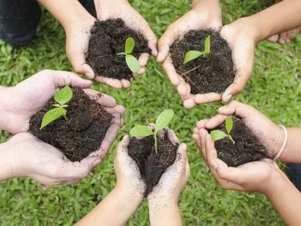 В Асоціації фермерів обурені витівками депутатів