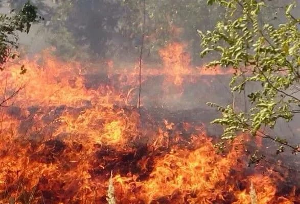 В Україні оголосили надзвичайний рівень пожежонебезпеки