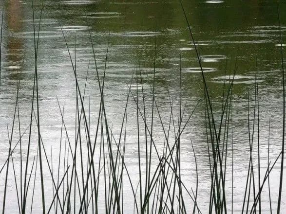 На Вінниччині жінку підозрюють у вбивстві немовляти