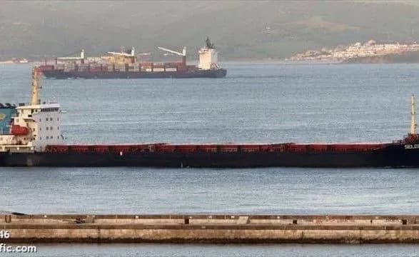 У МЗС прокоментували обшуки українських кораблів в Азовському морі