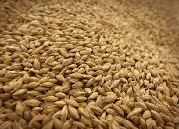 Аграрії вже намолотили 20 млн тонн зерна