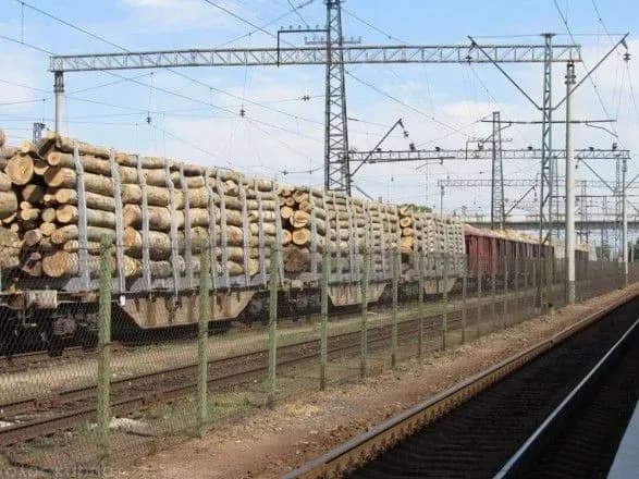 В уряді пояснили вето Президента на закон щодо контрабанди лісу