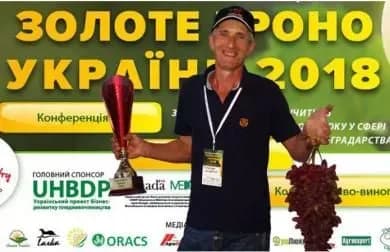 В Україні обрали найкрасивіше гроно винограду