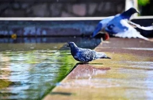 Завтра в Україні сонячно та спекотно