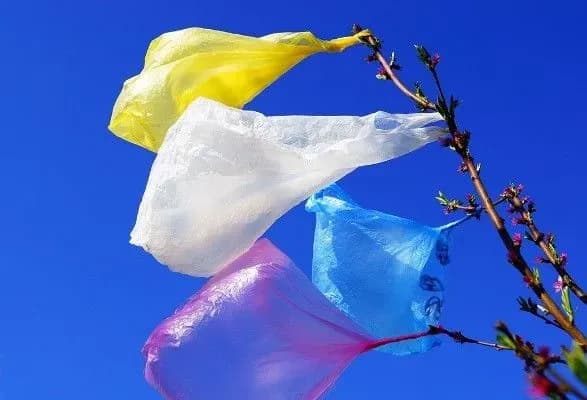 Грузія відмовиться від одноразових поліетиленових пакетів