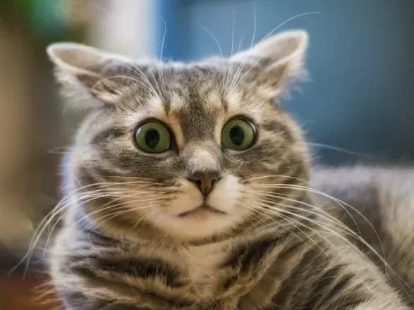 Як подорожчає комуналка у наступні роки: МЕРТ оновило прогноз