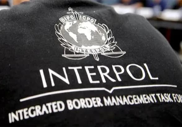В Інтерполі побільшає представників України