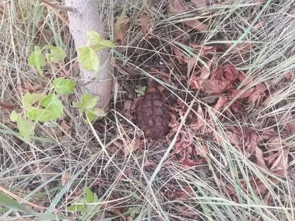 У колонії на Харківщині знайшли вибуховий пристрій