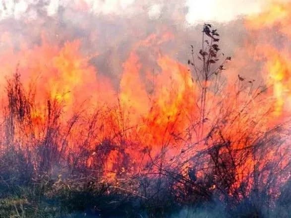Українців попередили про надзвичайну пожежну небезпеку