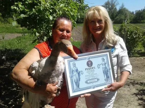 В Україні 31-річного гусака Гошу визнали рекордсменом-довгожителем