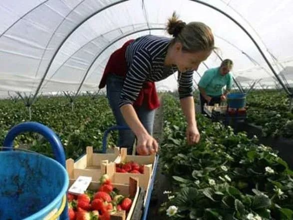 У Польщі заявили про драматичні наслідки через відтік українських заробітчан