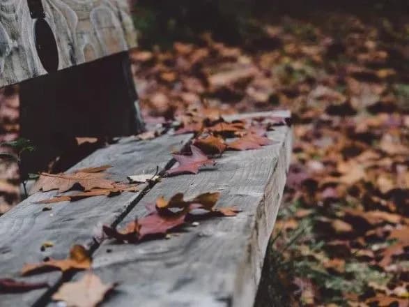 Сьогодні в Україні очікується тепла погода