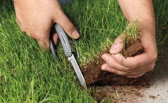 Рейдерство харківських земель: у Раді сподіваються на реакцію спецгрупи Кабміну