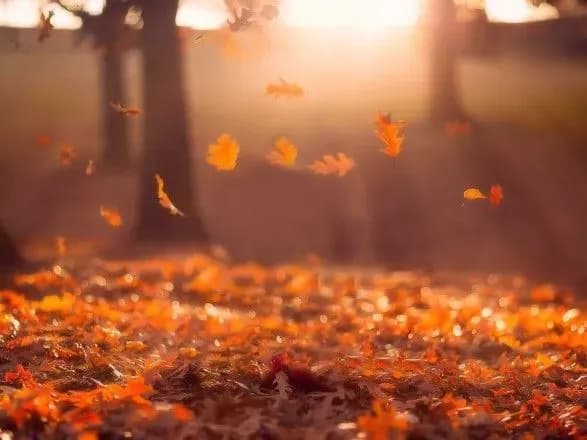 Сьогодні в Україні без істотних опадів