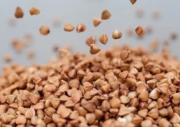 В Україні подешевшала гречка