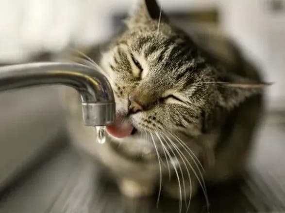 Киян попередили про аварійне відключення води