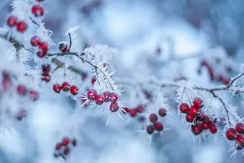 В Украине сегодня спадет мороз, на дорогах гололедица