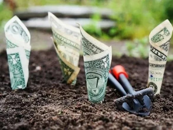 МинАПК сохранило ключевые направления господдержки аграриев