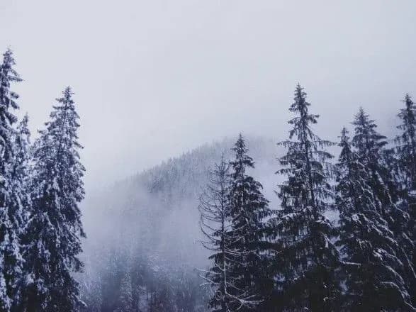 У Карпатах очікуються снігопади та хуртовини
