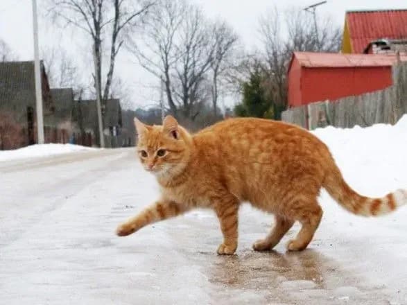 За вихідні у Києві від ожеледиці постраждали понад 100 людей