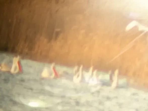 На Одещину раніше звичайного прилетіли рідкісні пелікани