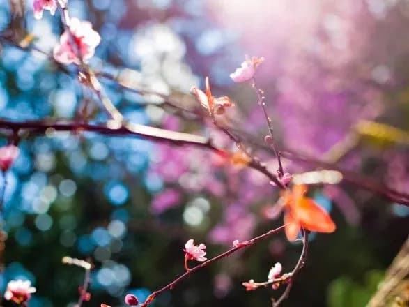 Синоптики дали прогноз на березень