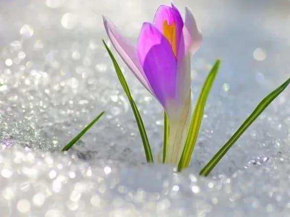 Синоптики дали прогноз погоди на завтра