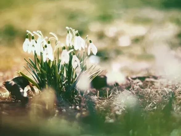На вихідних буде до 17 градусів тепла
