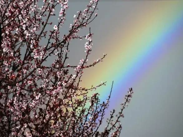 Синоптики розповіли, де завтра буде тепліше всього