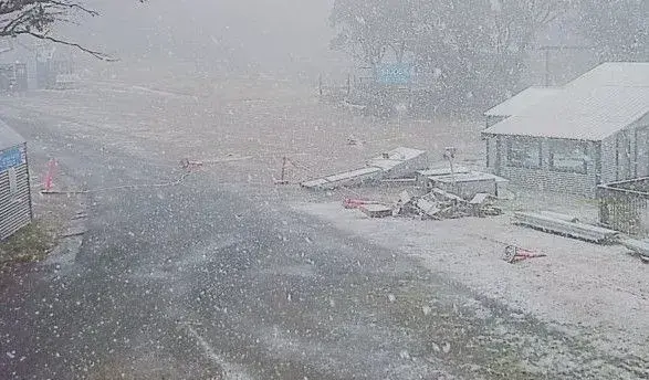 В Австралії випав сніг