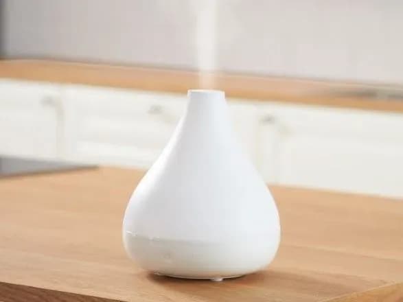 Врач рассказал о вреде увлажнителей воздуха
