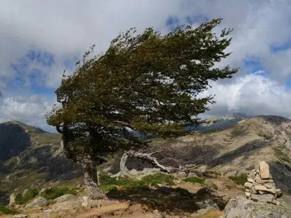 У західних областях оголосили штормове попередження