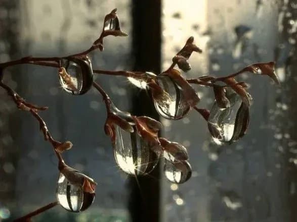 Синоптики дали прогноз на выходные