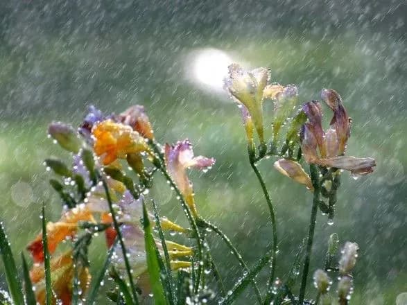 Наступний тиждень розпочнеться з гроз та 30-градусної спеки