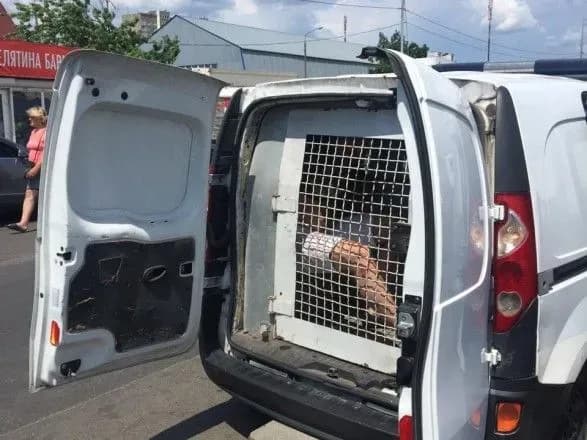 На Київщині затримано серійних автокрадіїв