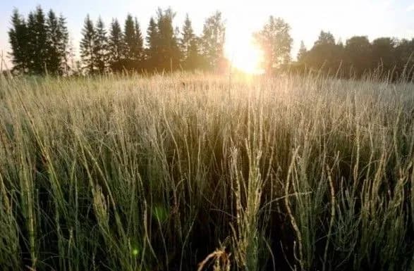 У Латвії аномальний холод