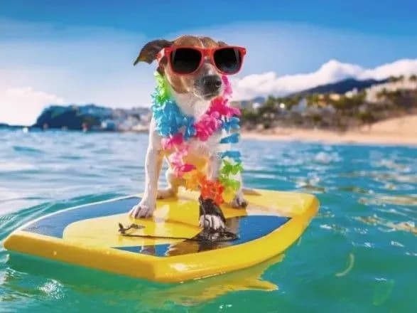 Українцям пообіцяли ще місяць літа