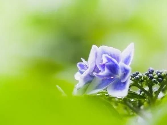 Синоптики дали прогноз на вихідні